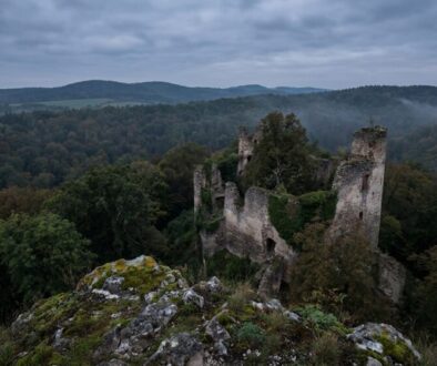 Ruined stone castle atop a mossy rocky outcrop overlooking a misty forest valley beneath a cloudy sky